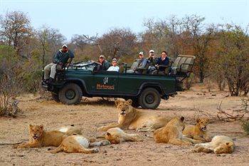 Motswari Private Game Reserve - Timbavati Privates Naturschutzgebiet The Klaserie Exterior foto