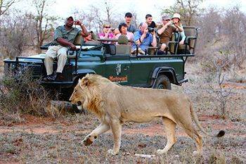 Motswari Private Game Reserve - Timbavati Privates Naturschutzgebiet The Klaserie Exterior foto