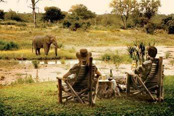 Motswari Private Game Reserve - Timbavati Privates Naturschutzgebiet The Klaserie Exterior foto
